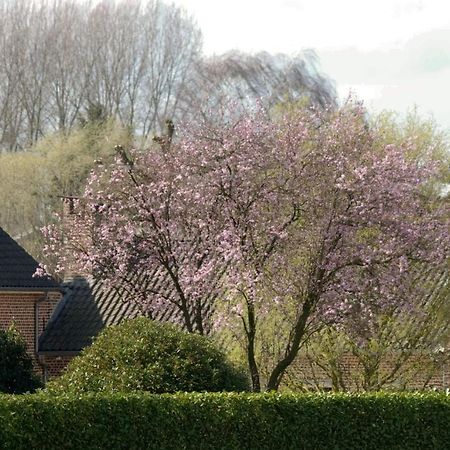 De Rankhove Bed & Breakfast Herne Bagian luar foto