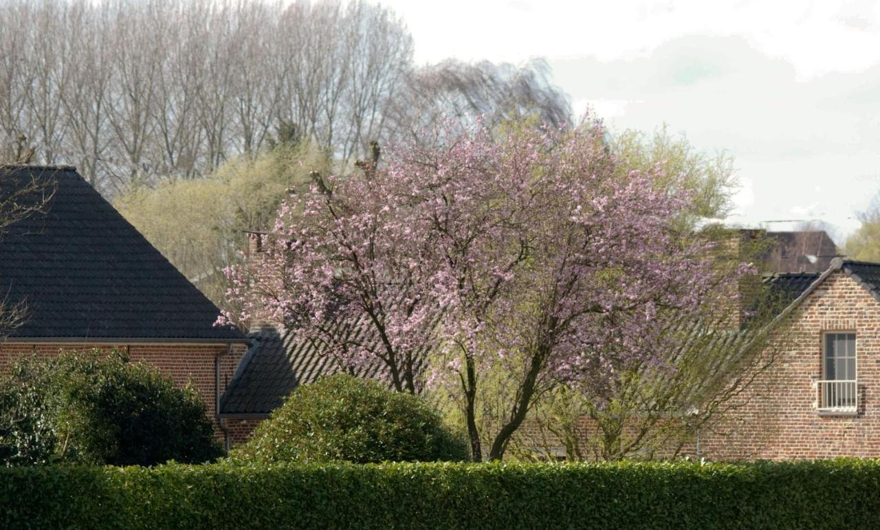 De Rankhove Bed & Breakfast Herne Bagian luar foto